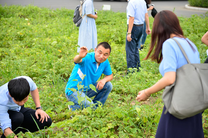 兰舍硅藻泥推进地产环保全装新时代